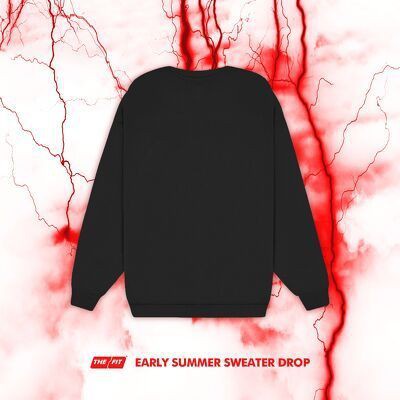 Áo Sweater thời trang chính hãng - Áo tay dài “Signature" The Fit | BigBuy360 - bigbuy360.vn