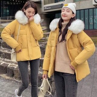 Áo phao quảng châu livestream 129k