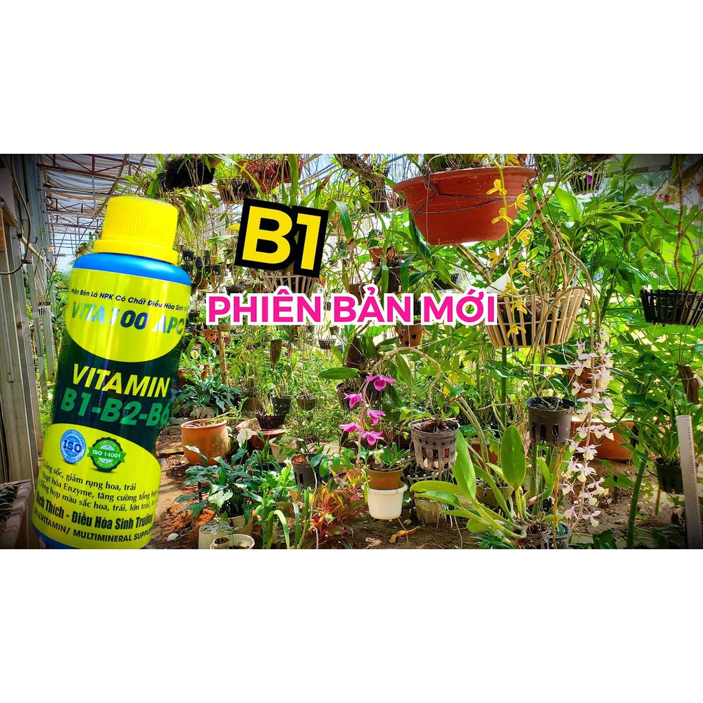 Phân bón Vitamin B1 - B2 - B6 kèm Điều hòa sinh trưởng phù hợp cho tất cả các loại cây (chai 100ml)