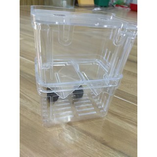 Lồng đẻ đơn cá cảnh