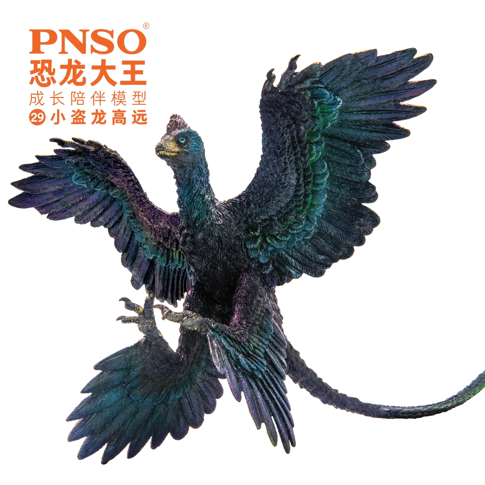 Đồ chơi trẻ em Mô hình khủng long PNSO Thief Dragon High Far 29 Dinosaur King Mô hình đi kèm