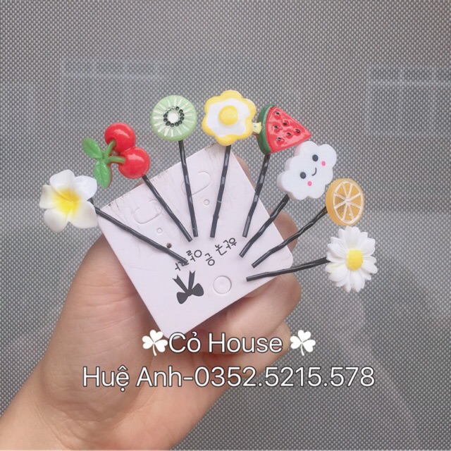 Combo Kẹp trái cây