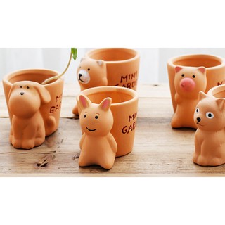 Chậu trồng cây mini