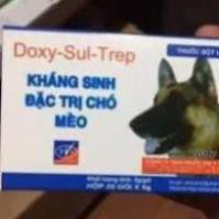 Doremiu - Doxy Sul Trep gói 5gr Kháng sinh chó mèo - đi ỉa kiết lị chó dạng uống