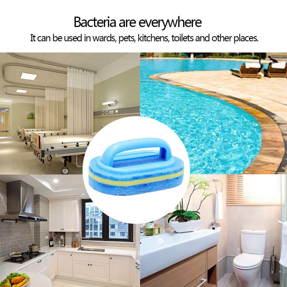 Bàn Chải Xốp Vệ Sinh Bể bơi Có Tay Cầm Bằng Nhựa Tiện Dụng