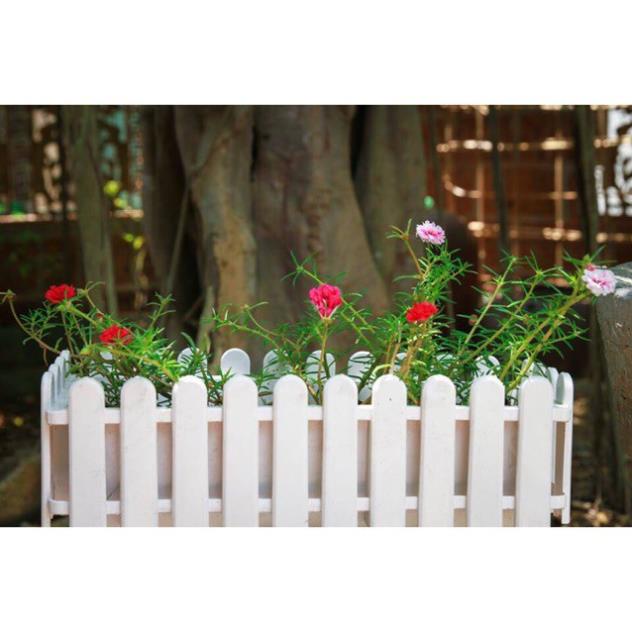 Chậu máng nhựa composite (45x20x15)cm hình hàng rào,hàng dày đẹp