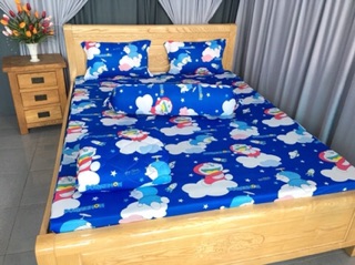 Chăn Drap thun hàn mát lạnh- Drap giường