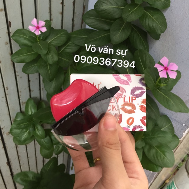 Set son bặm 450k 12 cây full màu
