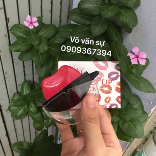 Set son bặm 450k 12 cây full màu