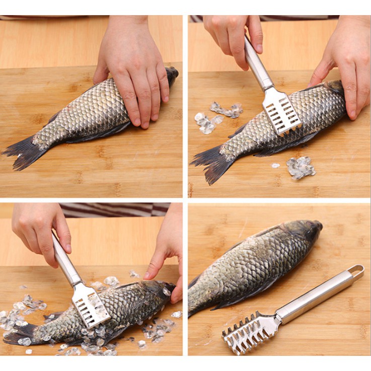 Dụng cụ đánh vẩy cá tiện lợi dễ sử dụng