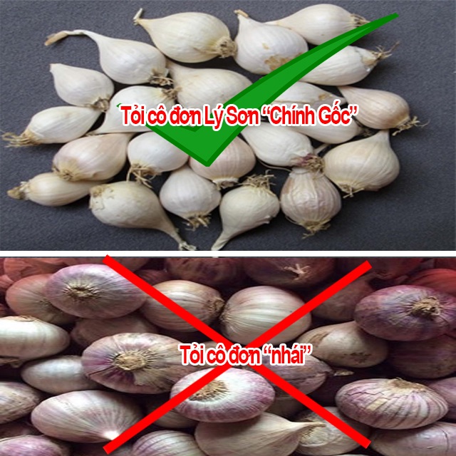 Tỏi Cô Đơn Lý Sơn chính gốc (loại 0.5 kg) | BigBuy360 - bigbuy360.vn