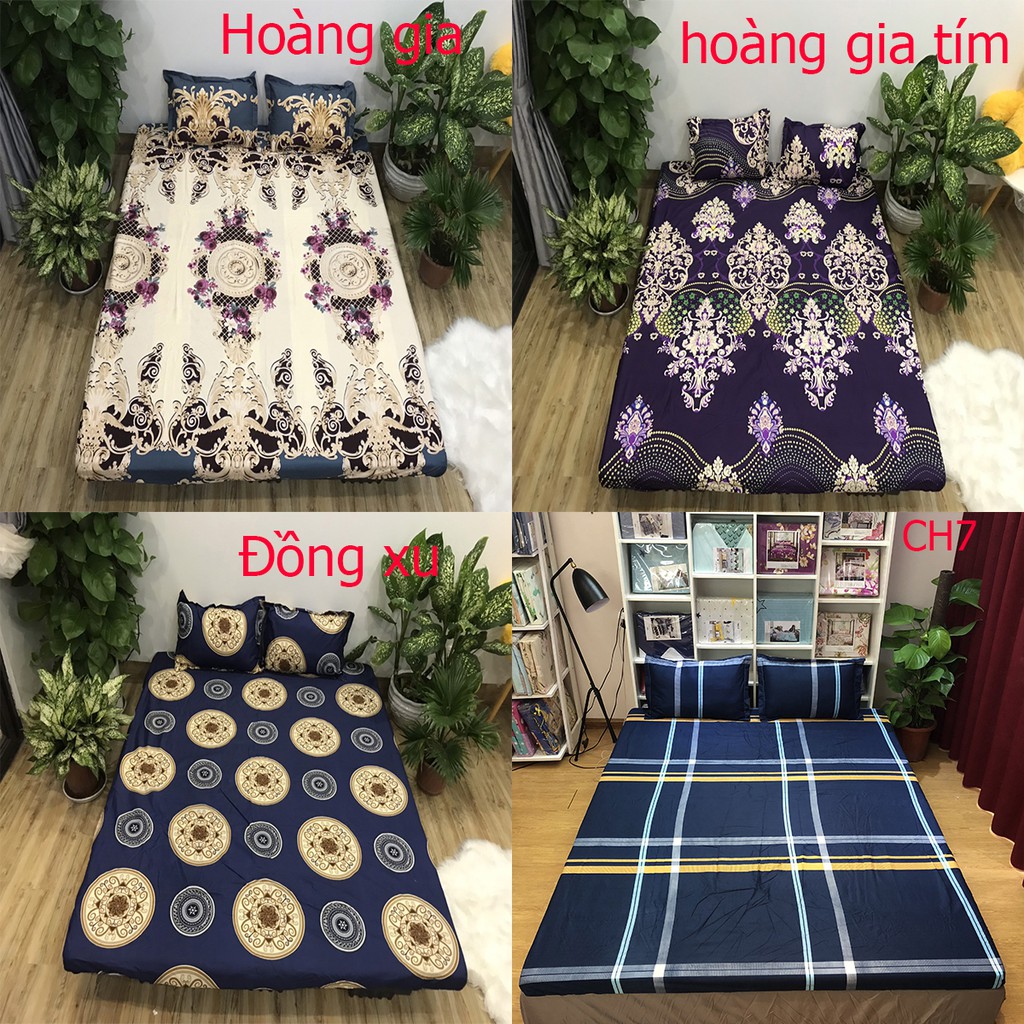 Set ga ( bọc nệm) + 2 vỏ gối cotton poly