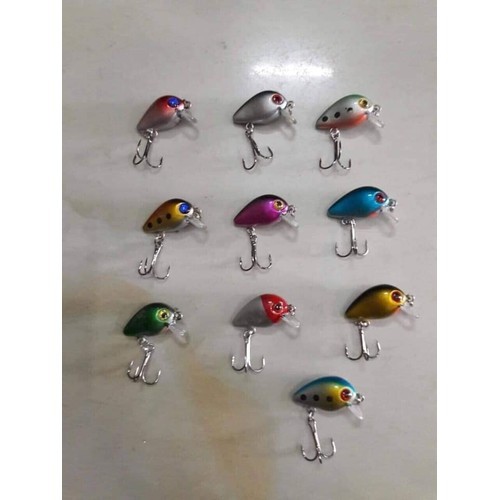 mồi ruồi siêu nhạy