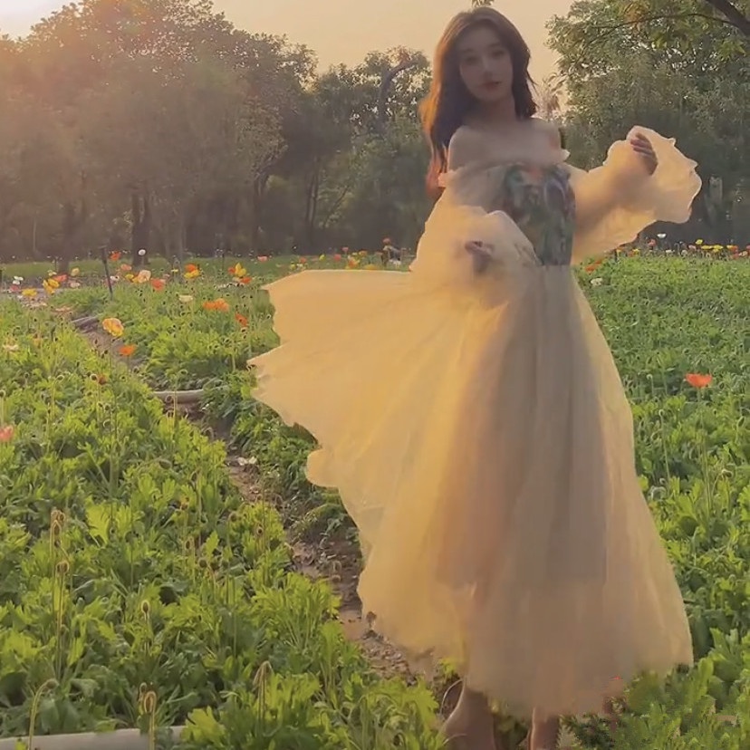 Đầm Công Chúa 22 Món Trễ Vai Phối Lưới Họa Tiết Tranh Sơn Dầu Phong Cách Pháp Cho Nữ