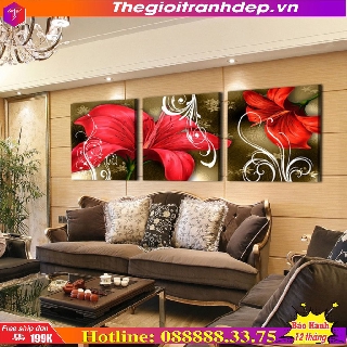 Bộ 3 Tranh Q16-67