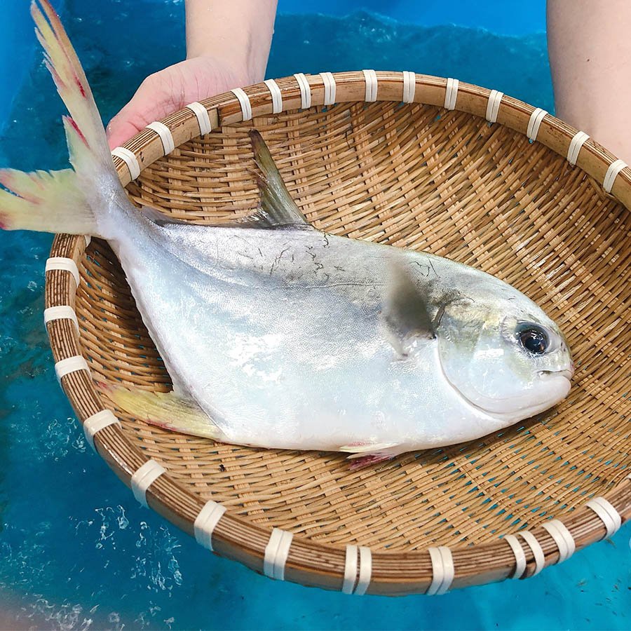 Cá Chim Biển 1 Nắng 1kgs Giao Nhanh 1-2h TP Hồ Chí Minh