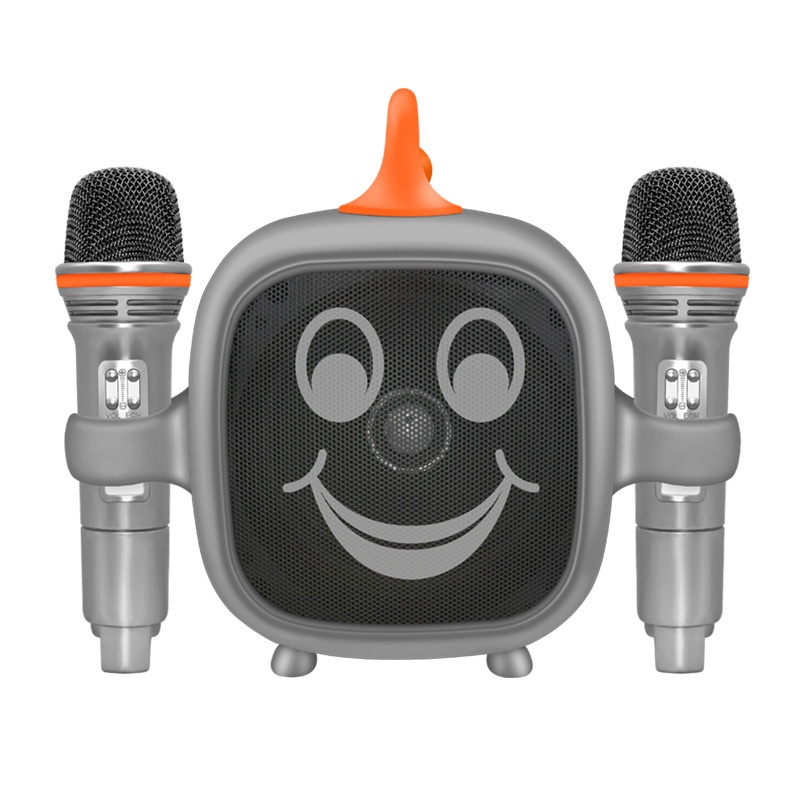 Mic hát karaoke bluetooth, loa karaoke 2 mic SD-506 , hàng loại 1bọc nhựa abs thiết kế đẹp