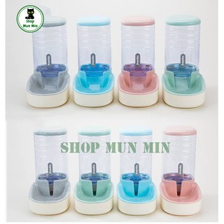 Bát ăn tự động chó mèo