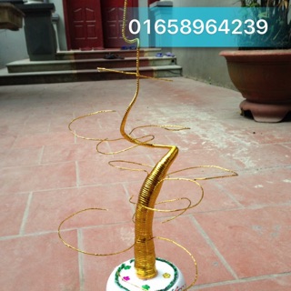Gốc cây thần tài và tiền