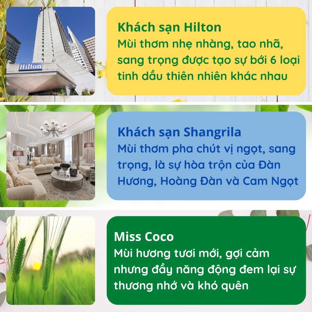 Nước Hoa Khuếch Tán Thơm Phòng Lọ Tinh Dầu Thơm Để Phòng Thiên Nhiên Tán Hương Phòng Ngủ KT22