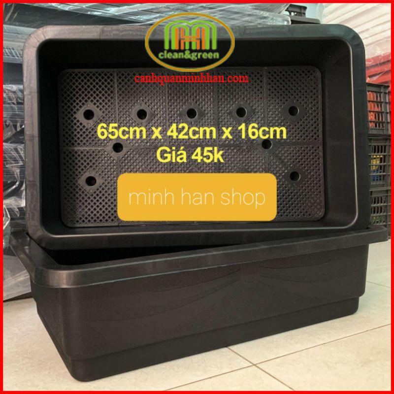 Chậu trồng rau thông minh không chảy nước ra sàn