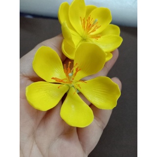 20 HOA MAI ĐẤT SÉT NHẬT ( ĐK ~4CM)