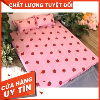 Trọn bộ ga gối poly cotton được chọn mẫu ga gối poly hot 2019 bộ chăn ga và vỏ gối chăn ga