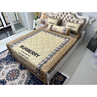 Bộ drap thun lạnh ý 5D cao cấp