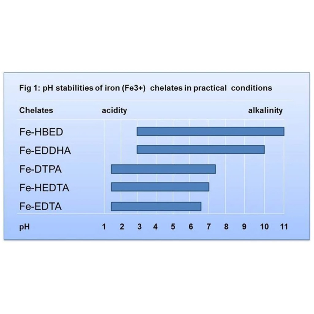 Bột sắt - Fe DTPA 11% - 100g