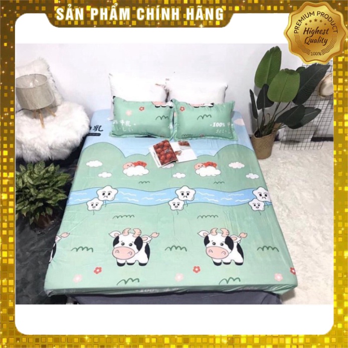 Bộ Ga Chun Trải Giường 3 món( 2 gối đầu+ 1 ga chun) chất liệu cotton poly không bai không xù | BigBuy360 - bigbuy360.vn