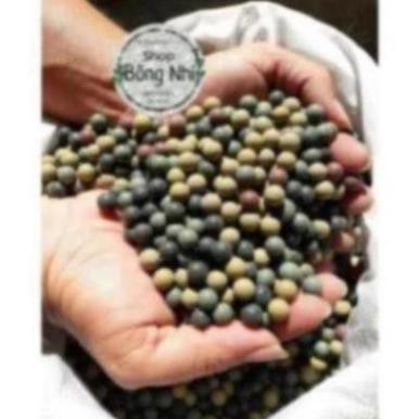 Bi Đất Nung 8mm (1Kg) | Gói bi nén trang trí sân vườn (kích thước 8mm) ..