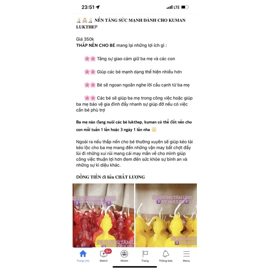 🍀Nến TSM  cho pé kuman 🍀