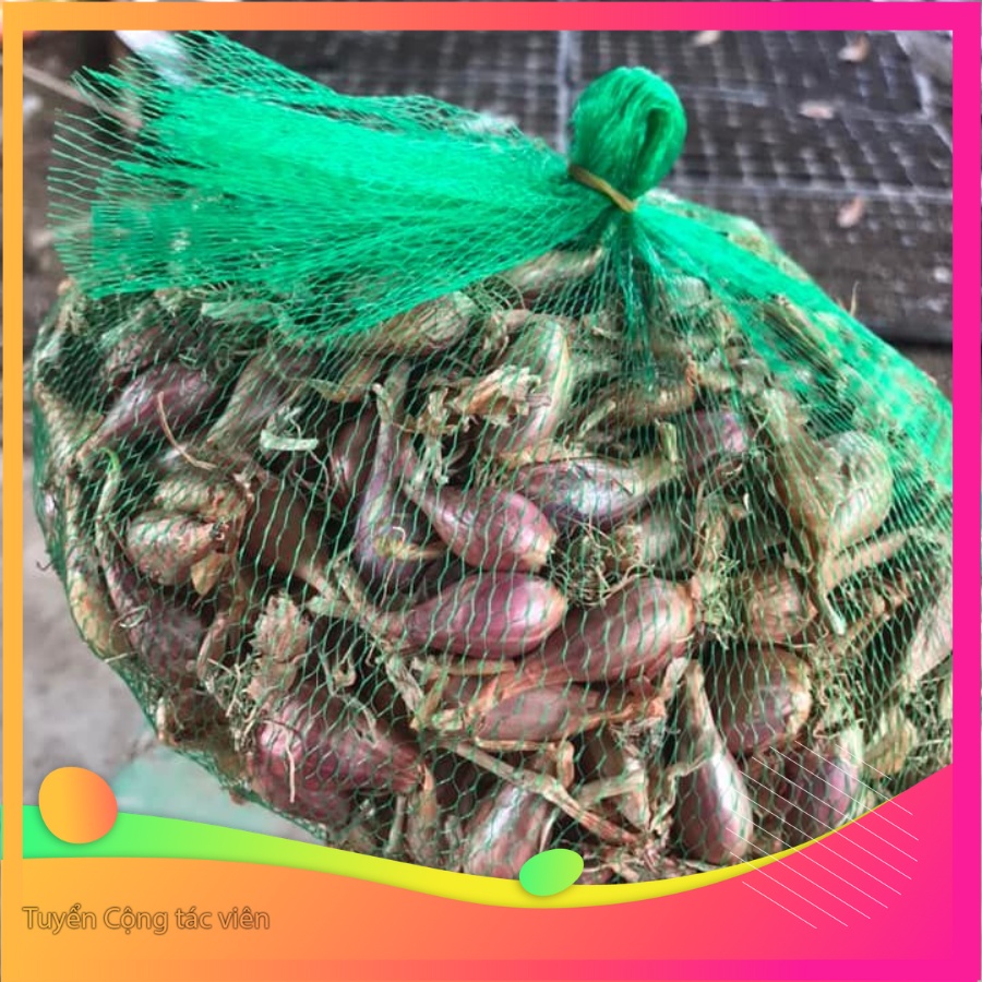 1kg Hành Ba Chài/ hành hương/ hành bắc zin
