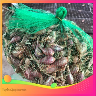 1kg Hành Ba Chài/ hành hương/ hành bắc zin