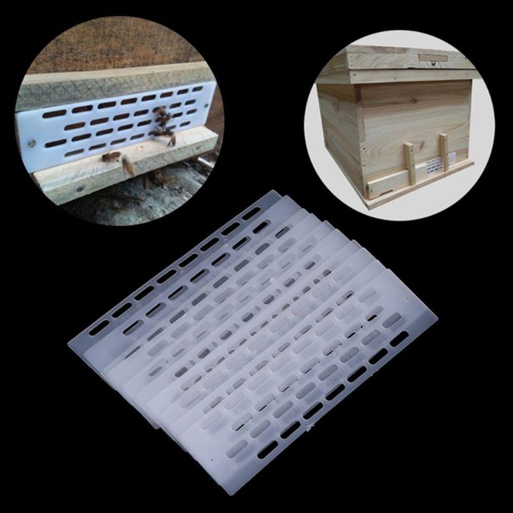 Dụng Cụ Nuôi Ong Chống Thoát Thoát Chuyên Dụng