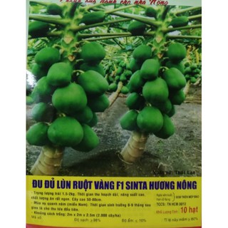 Hạt Đu đủ Siêu Lùn ruột VÀNG F1 SINTA - Gói 10 hạt