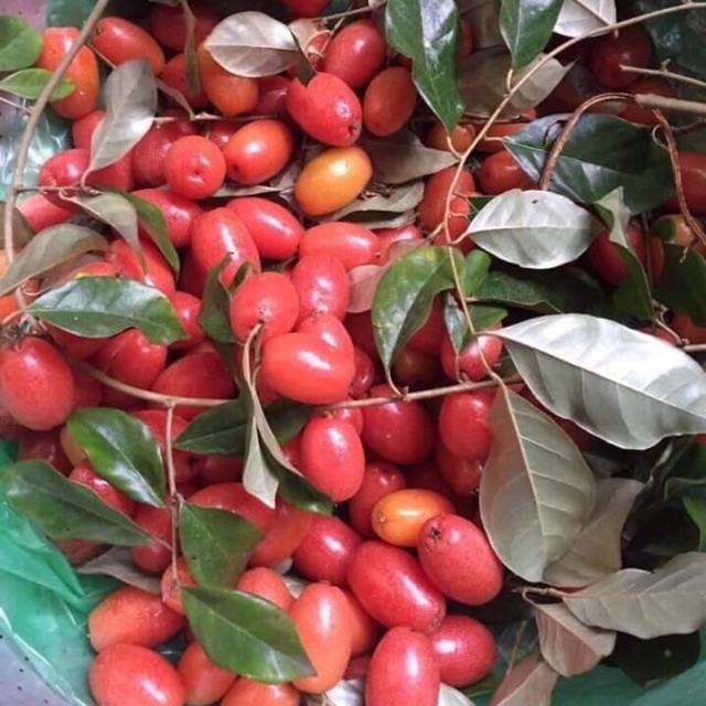 Combo mận chery Lê táo