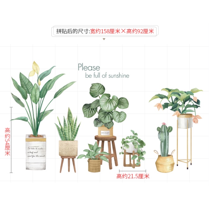 Decal trang trí tường - Những chậu cây gỗ hiện đại