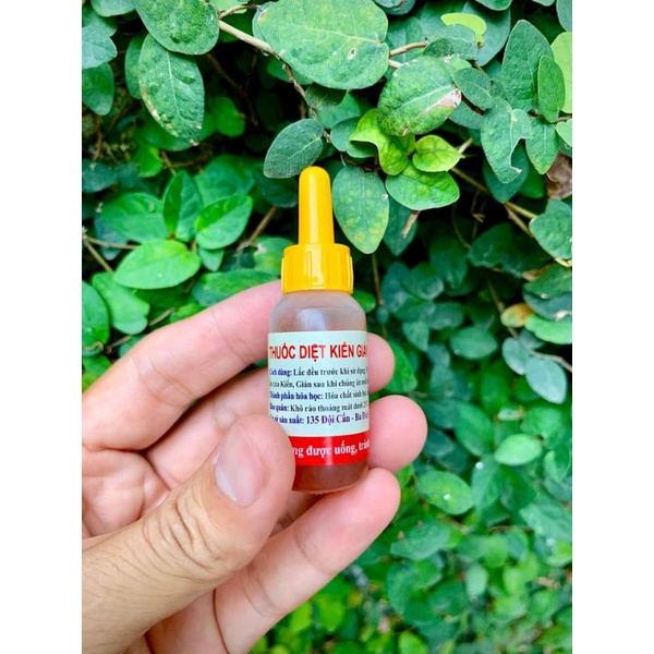 Thuốc diệt kiến gián sinh học lọ 10ml