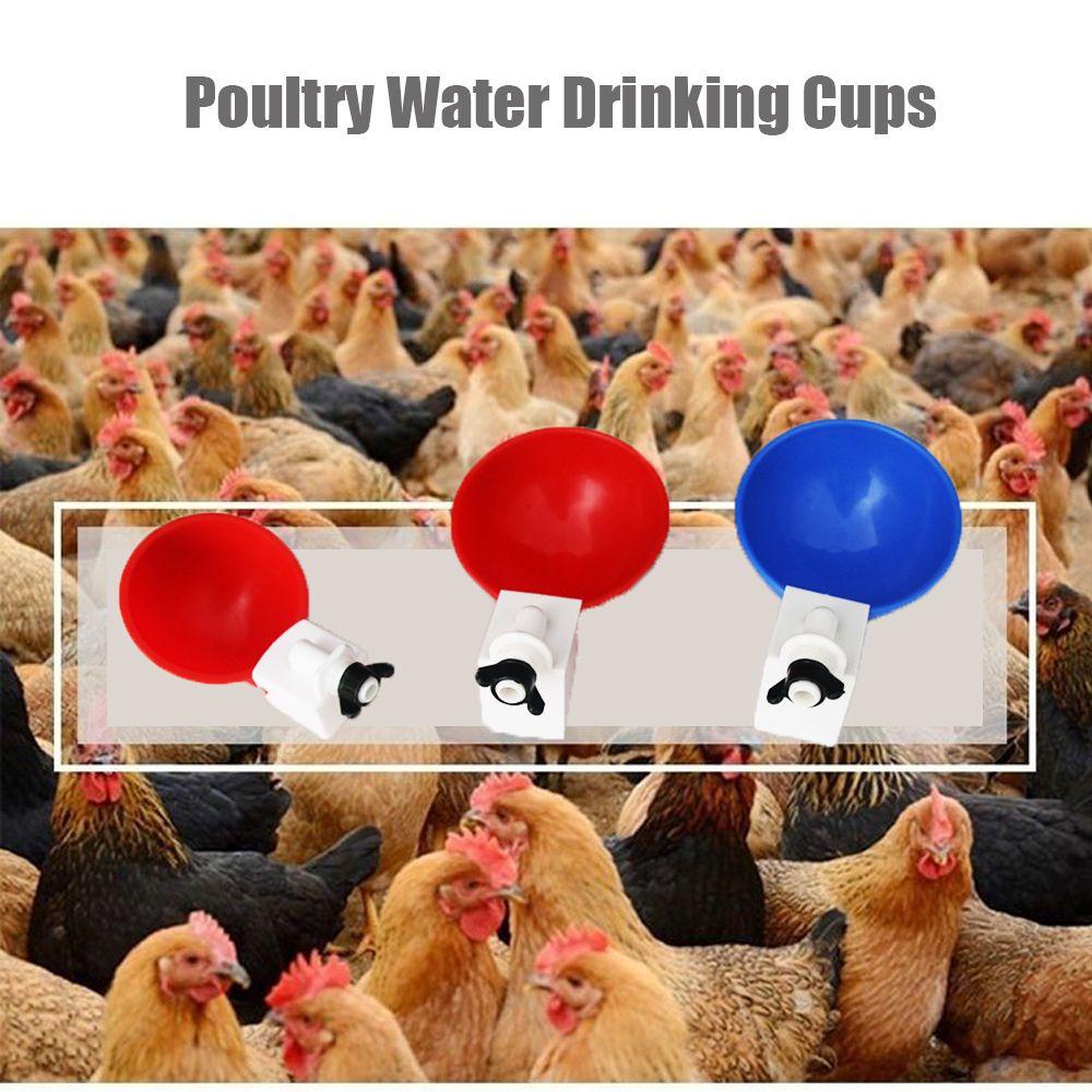 LEISURE Máng Uống Nước Tự Động Cho Gà Mới