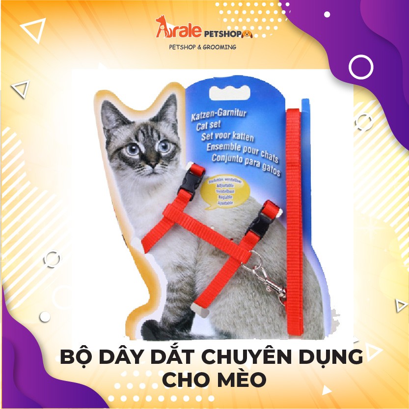 [BÁN CHẠY] BỘ DÂY DẮT CHUYÊN DỤNG CHO MÈO