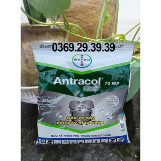 Thuốc trừ bệnh cây antracol 1kg