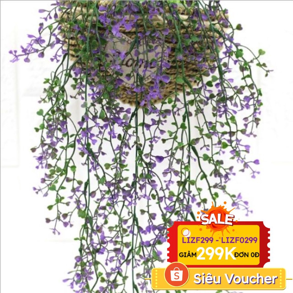 CHÙM DÂY LEO RONG BIỂN DÀI 77CM HOA GIA [A12_D1]