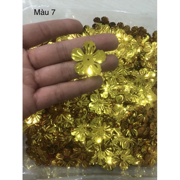 100g hoa kim sa làm cây kim tiền