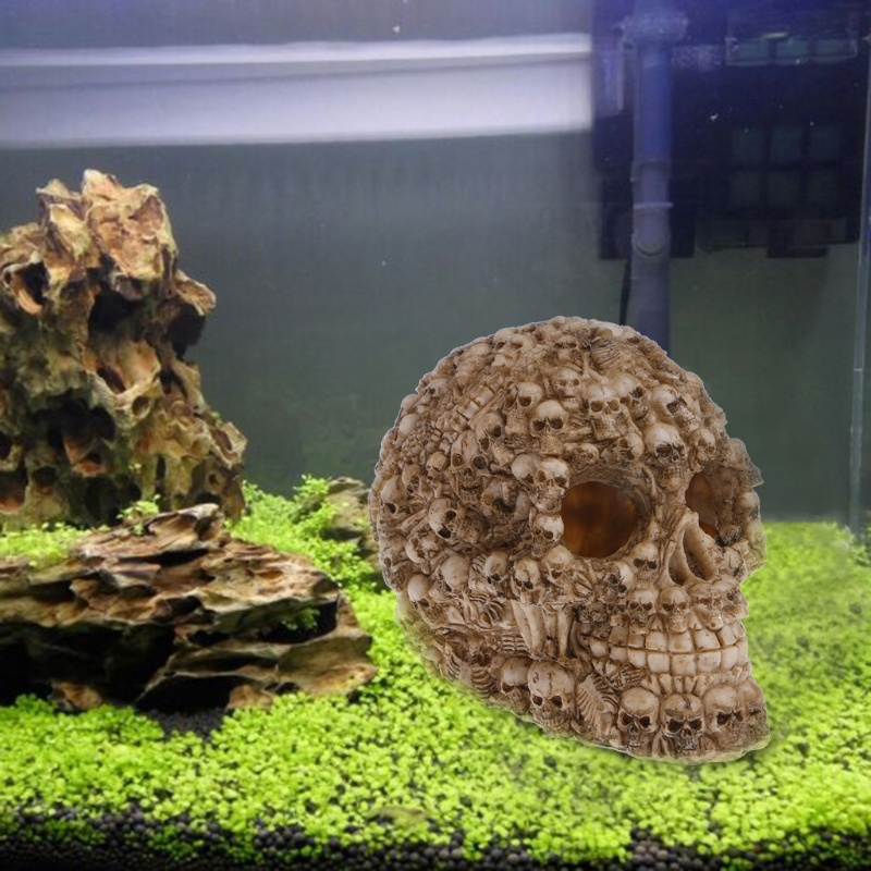 Đầu Lâu Nhựa Resin Trang Trí Bể Cá Cảnh