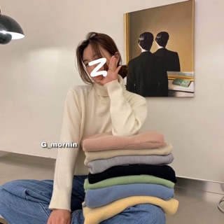 Áo len cổ lọ 002
