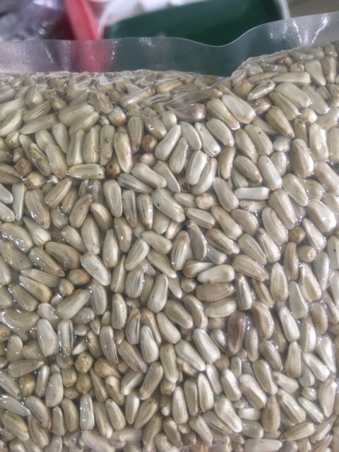 Hạt Kham Bỉ gói 500g-1kg