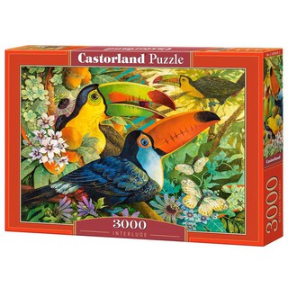 Tranh ghép hình 3000 mảnh "Interlude", Castorland
