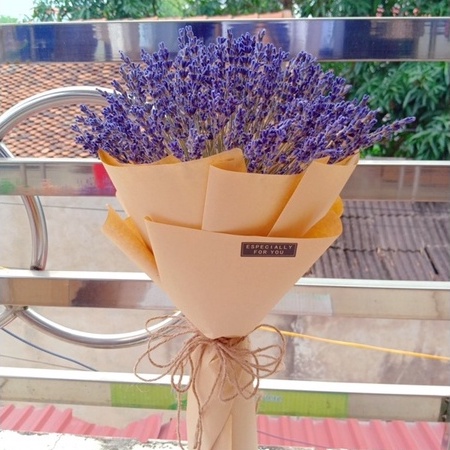 Bó 100 cành hoa Lavender khô thơm phòng, trang trí nhà cửa, nội thất
