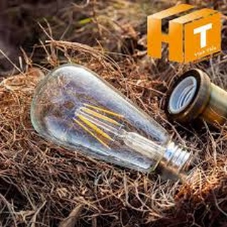 Bóng đèn Vintage Edison ST64 4W E27